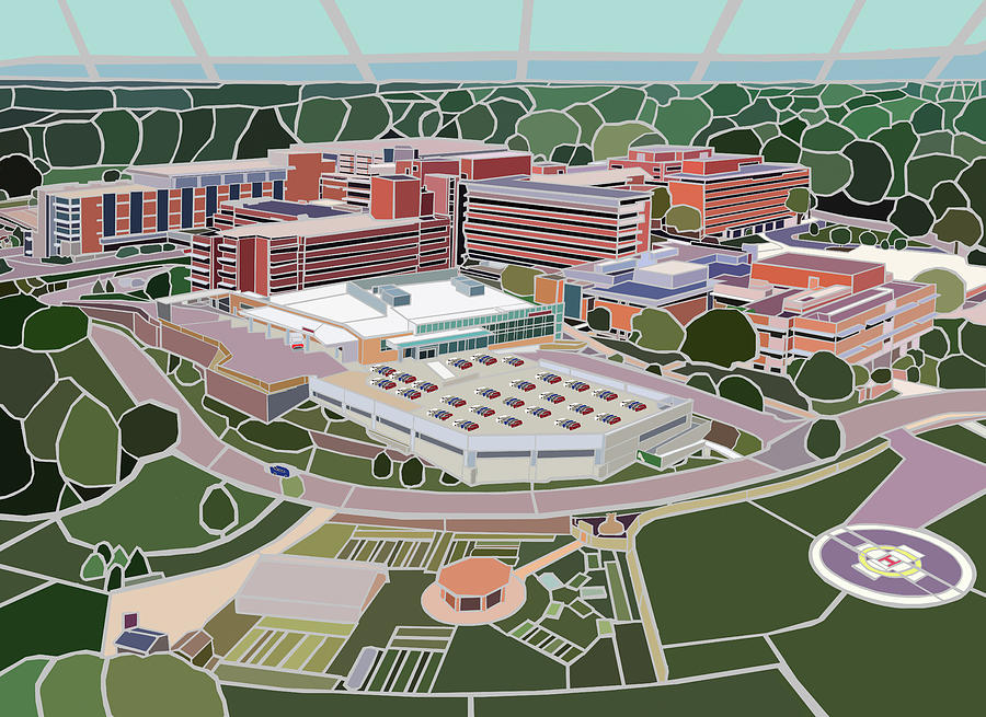 Modern Campus Drawing Painting by Jonathan Mandell Fine Art America