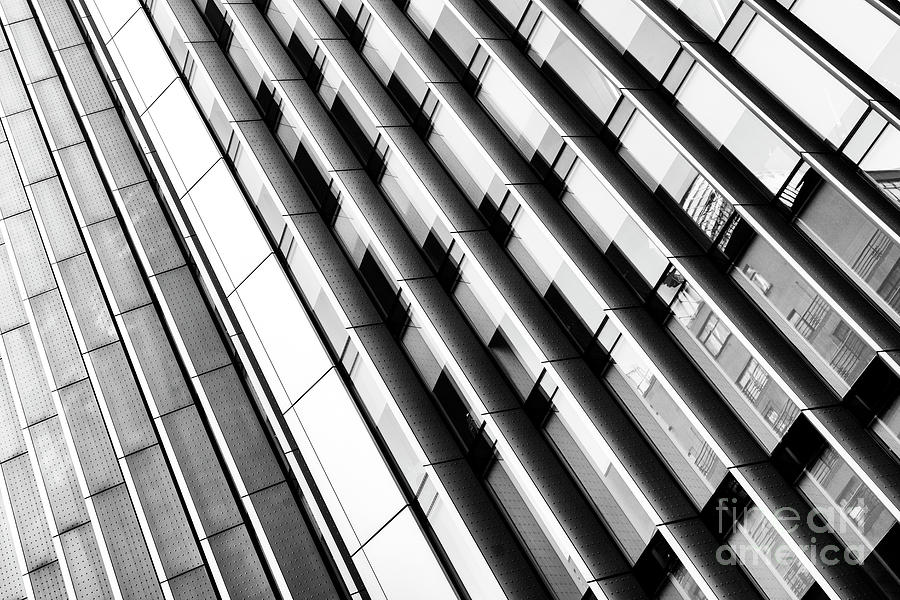 Modern Lines Monochrome Photograph by Tim Gainey