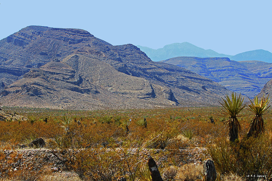Mojave Desert Nevada Digital Art by Tom Janca