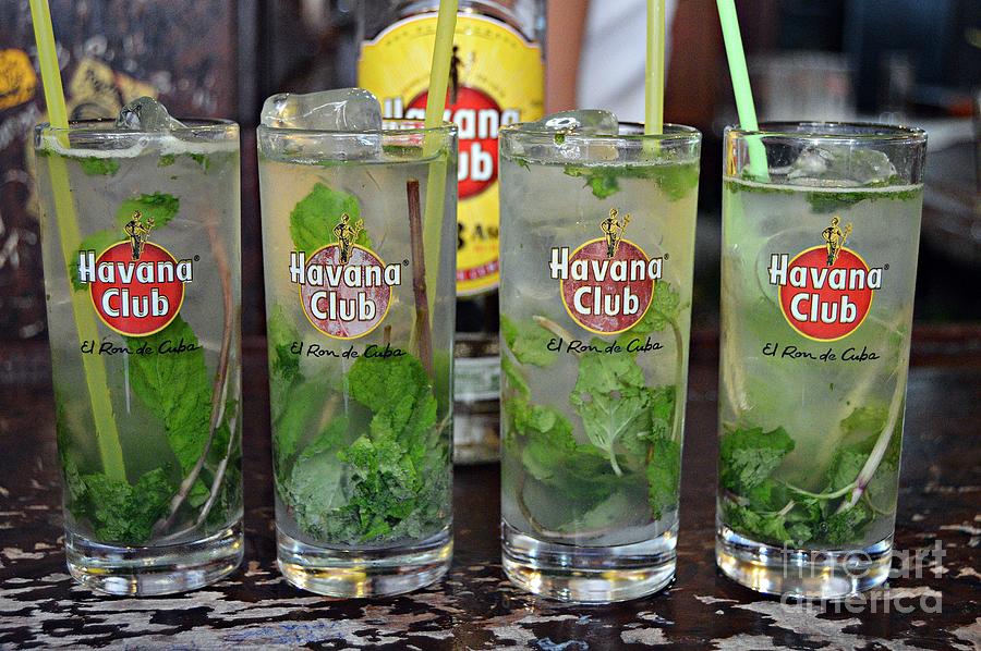 Mojito Photograph by Thomas Schroeder