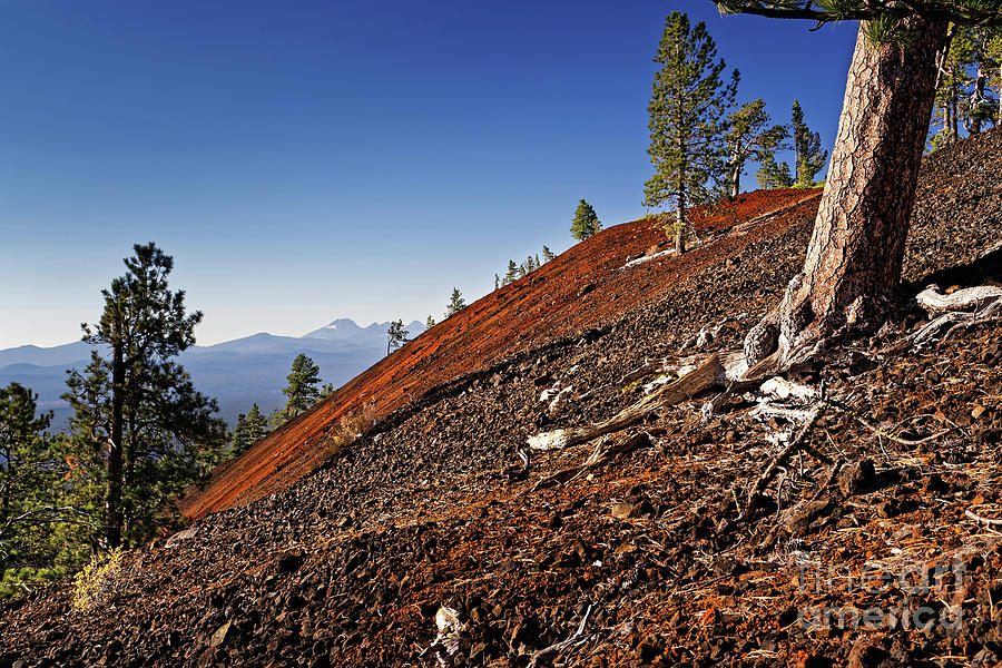 Mokst Butte red cinder cone hillside spotted w Ponderosa pine conifer trees view distant mountains Photograph by Robert C Paulson Jr