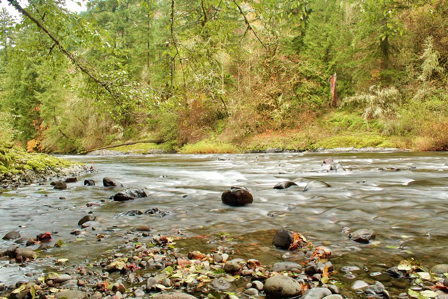 Molalla River In The Fall Photograph by Brian Eberly