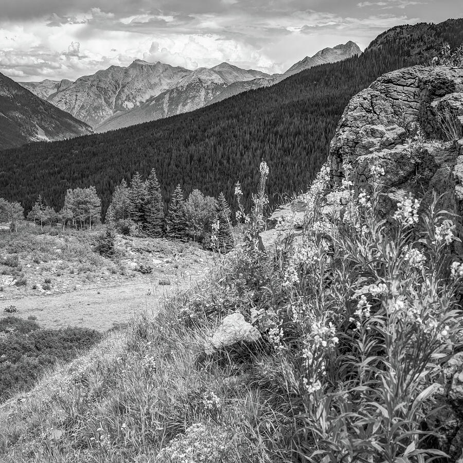 Black And White Photograph - Molas Pass Mountain Landscape - Colorado San Juan Mountains - Monochrome by Gregory Ballos
