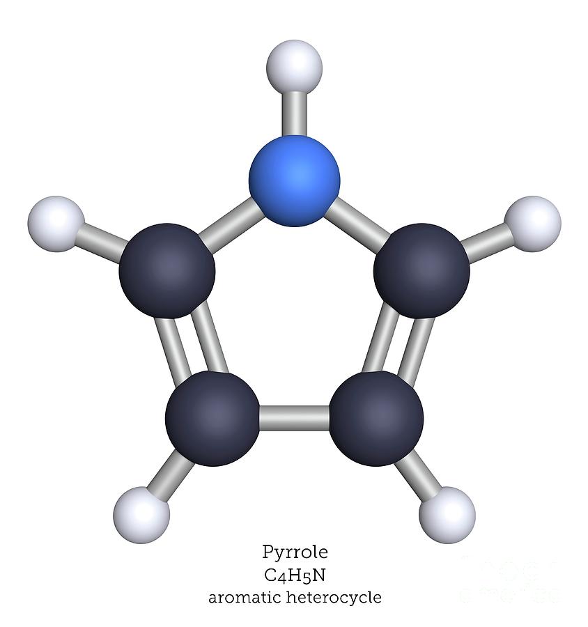 Molecular Model Of Pyrrole Photograph by Greg Williams/science Photo ...