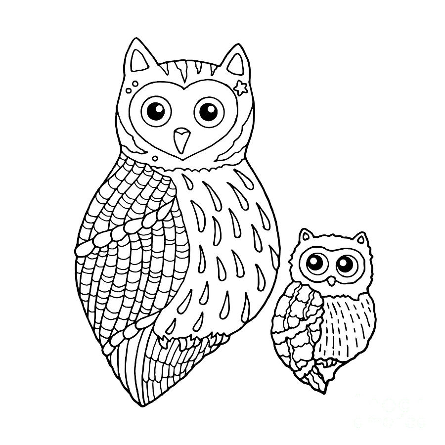 Premium Vector  Hand drawn owl in doodle style sketch. line art and color.  kids education