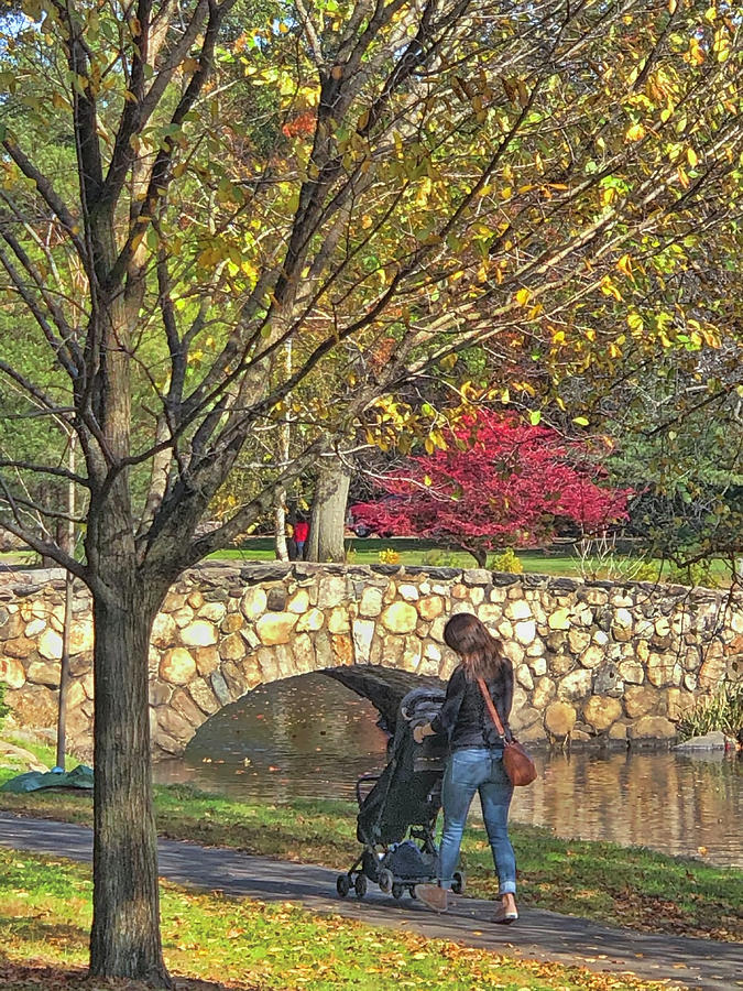 Mom Pushing a Baby Carriage in the Park Photograph by Cordia Murphy
