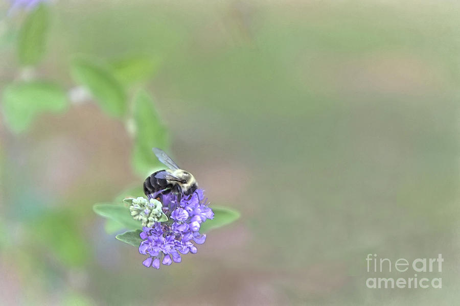 Moment in Time by Amy Dundon Moment in Time by Amy Dundon