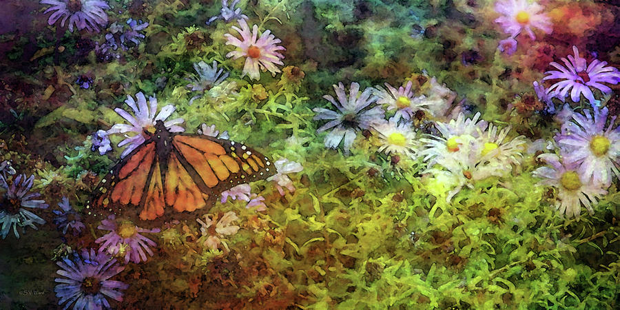 Monarch Among The Aster 5626 IDP_MAA_2 Photograph by Steven Ward