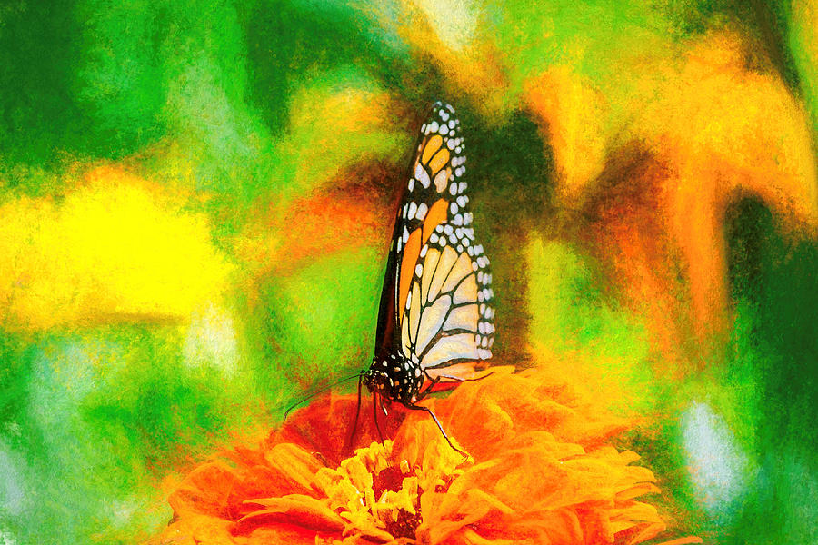 Monarch Butterfly Classic Art Photograph by Don Northup