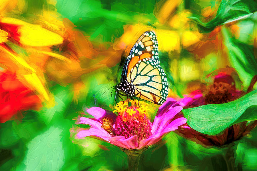 Monarch Butterfly Impasto Colorful Photograph by Don Northup