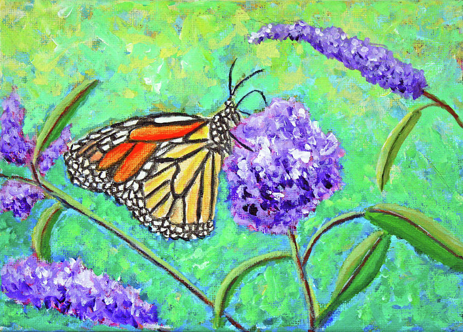 Monarch Butterfly in Spring by Kathryn Duncan Monarch Butterfly in Spring by Kathryn Duncan