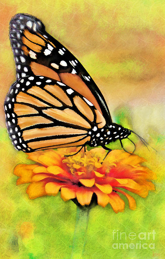 Monarch Butterfly On Flower Digital Art by Jeff Breiman