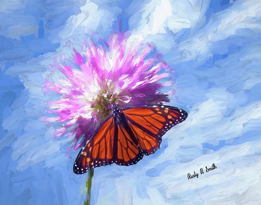 Monarch butterfly on soft pink flower. by Rusty R Smith Monarch butterfly on soft pink flower. by Rusty R Smith