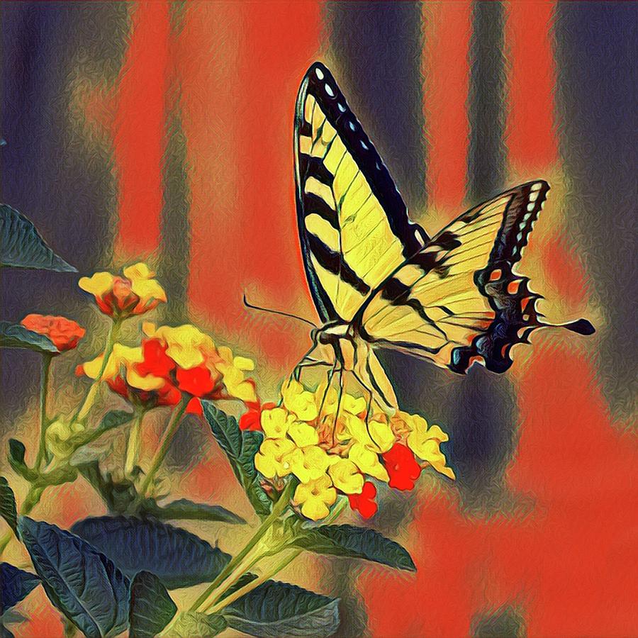 Monarch Butterfly by Sarah Hanley Monarch Butterfly by Sarah Hanley
