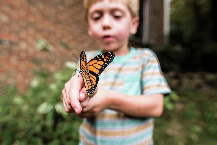 Butterfly Photograph - Monarch Butterfly Sitting On Boys Hand As He Observes It by Cavan Images