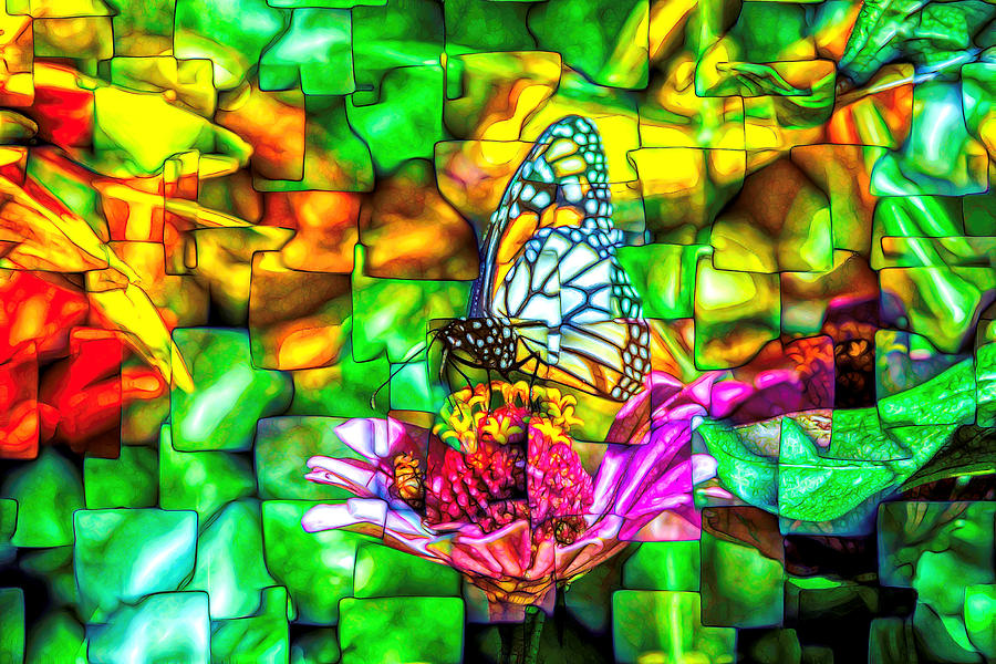 Monarch Butterfly Super Abstract Photograph by Don Northup