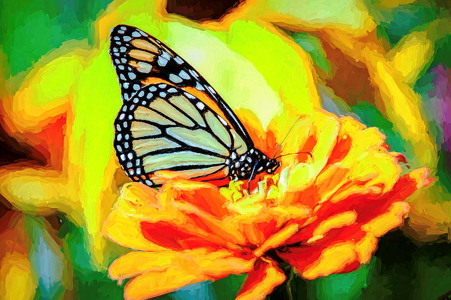 Monarch Butterfly Van Gogh Style Photograph by Don Northup