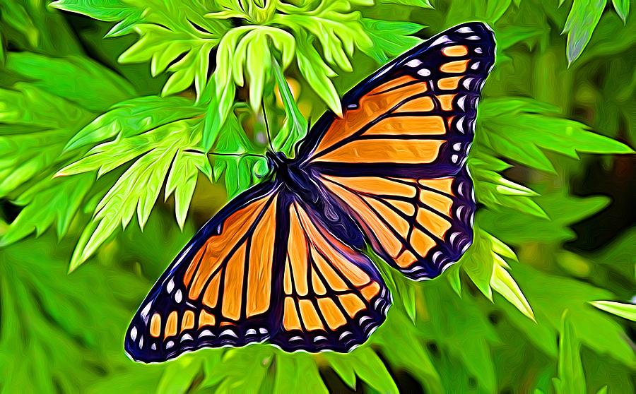 Butterfly Digital Art - Monarch Moment by John Cerny