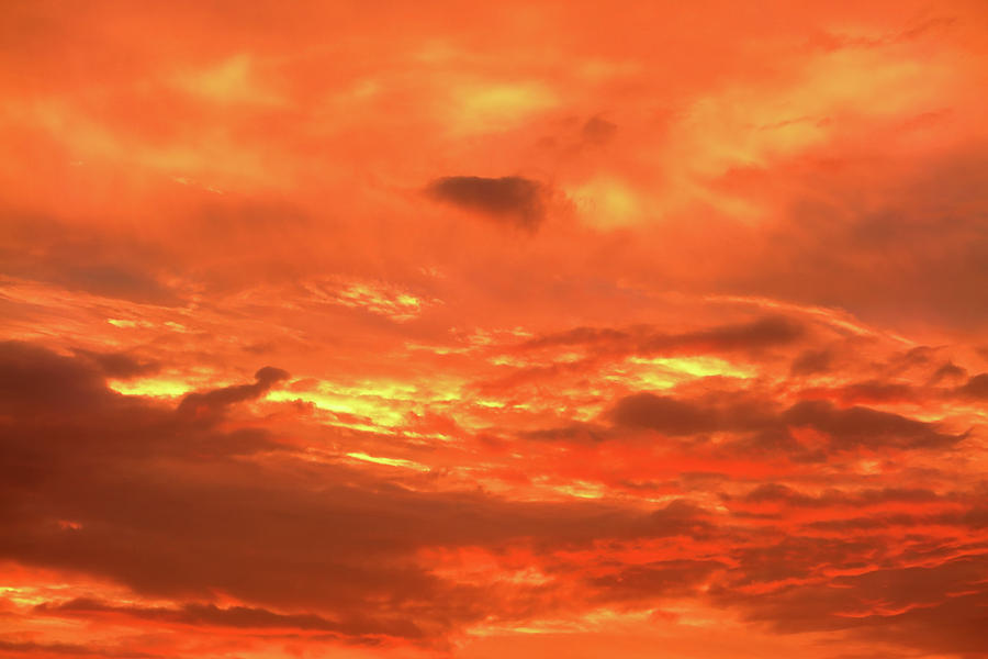 Monday Skies - Flame Photograph by Nicholas Blackwell
