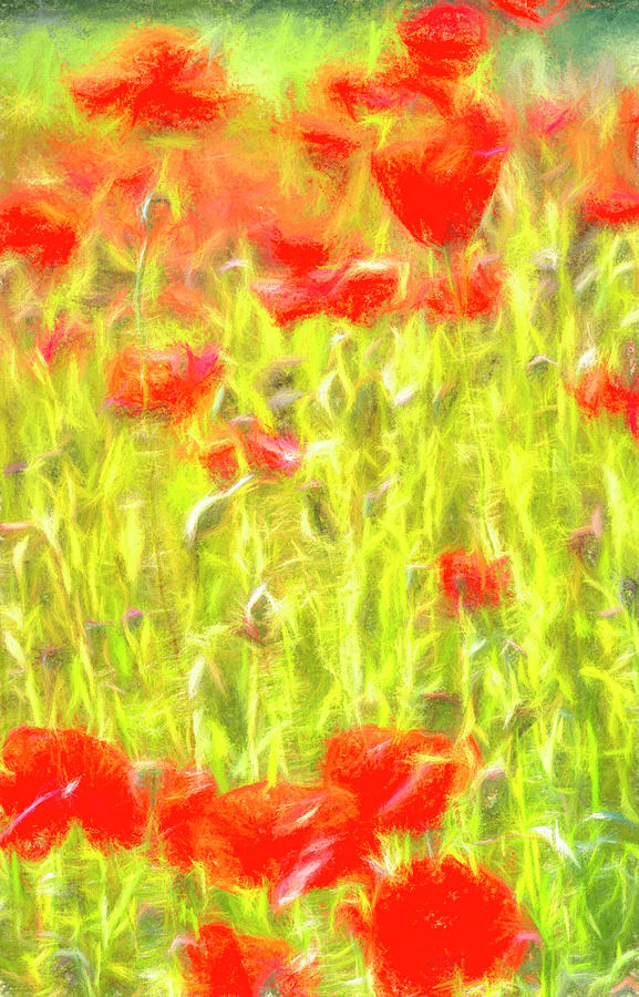 Monet Style Poppy Meadow Photograph by David Pyatt