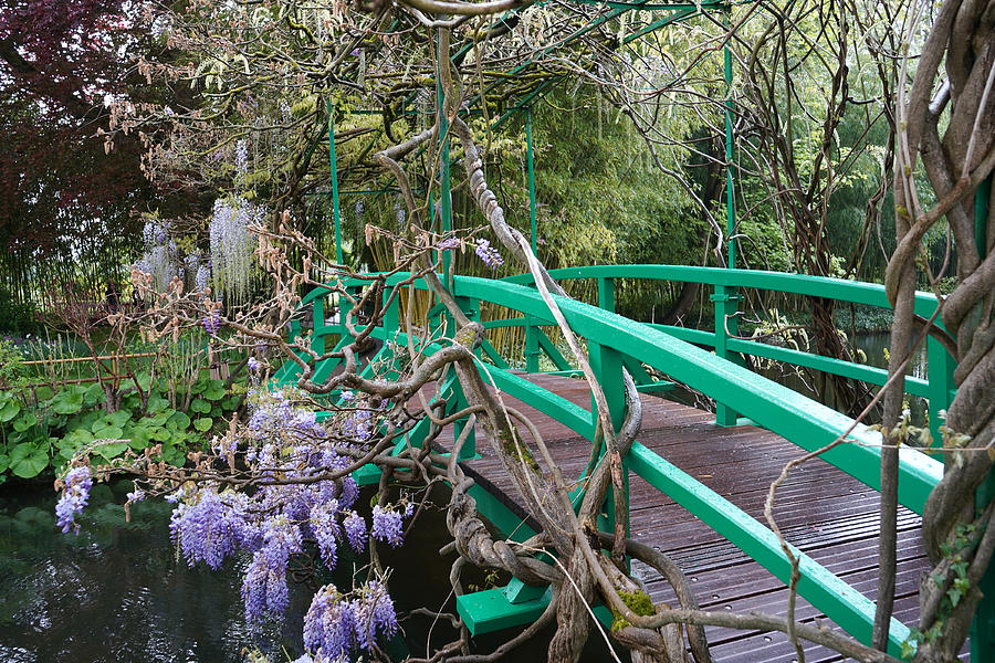 Monets Garden 4 Photograph by Andrew Fare