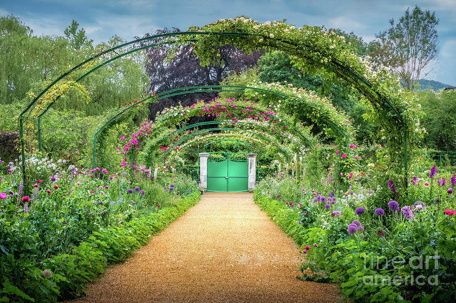 Monets Rose Arches at Giverny 3 Photograph by Liesl Walsh