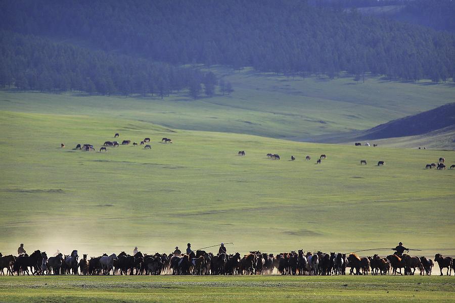 Mongolian Horsemen Watch Over Their Herd Photograph by Timothy Allen