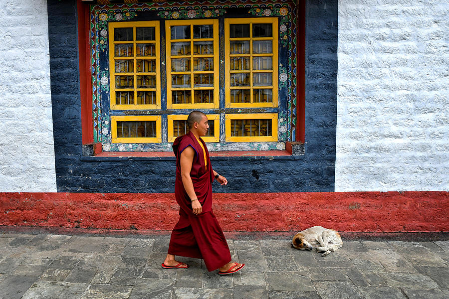 Monk In A Monastery Photograph by Shaibal Nandi