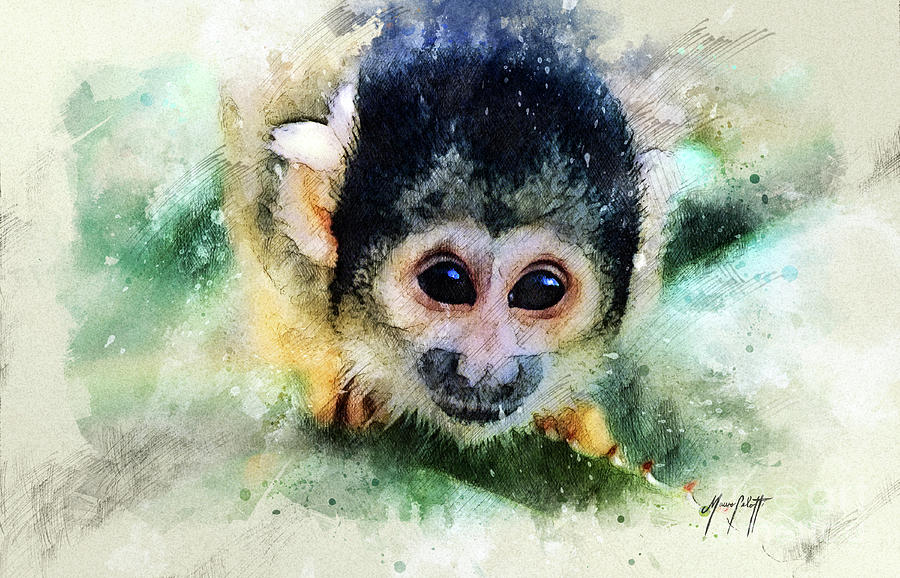 monkey 1 by Mauro Celotti monkey 1 by Mauro Celotti