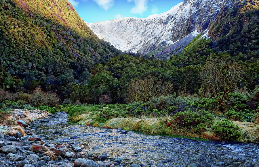 Monkey Creek in Autumn by Anthony Dezenzio Monkey Creek in Autumn by Anthony Dezenzio