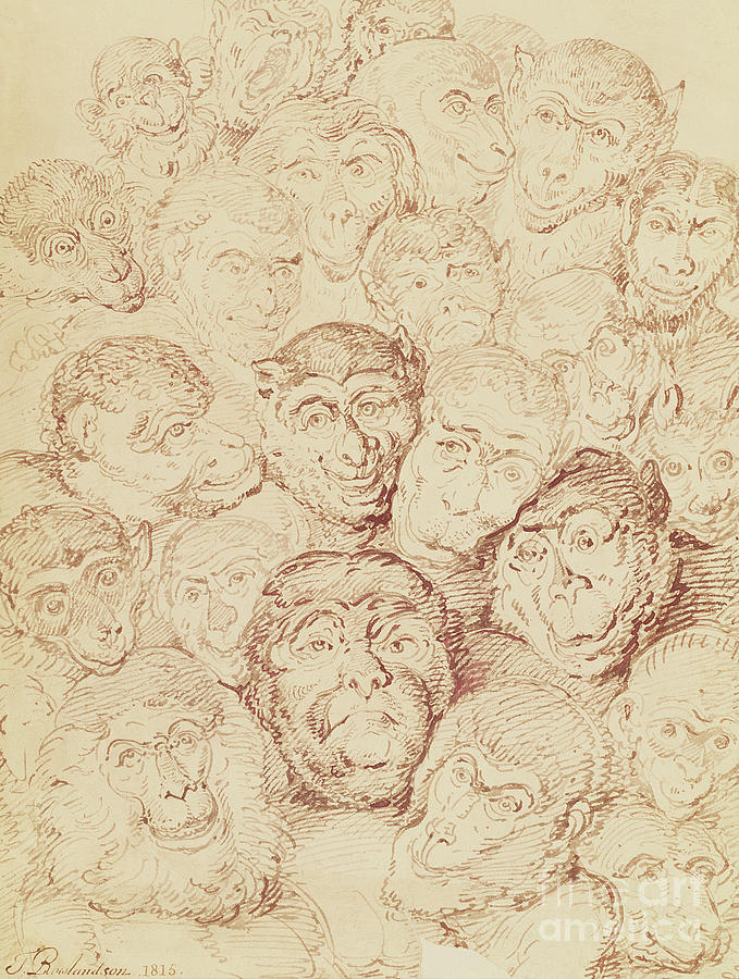 Monkey Faces, 1815 Painting by Thomas Rowlandson