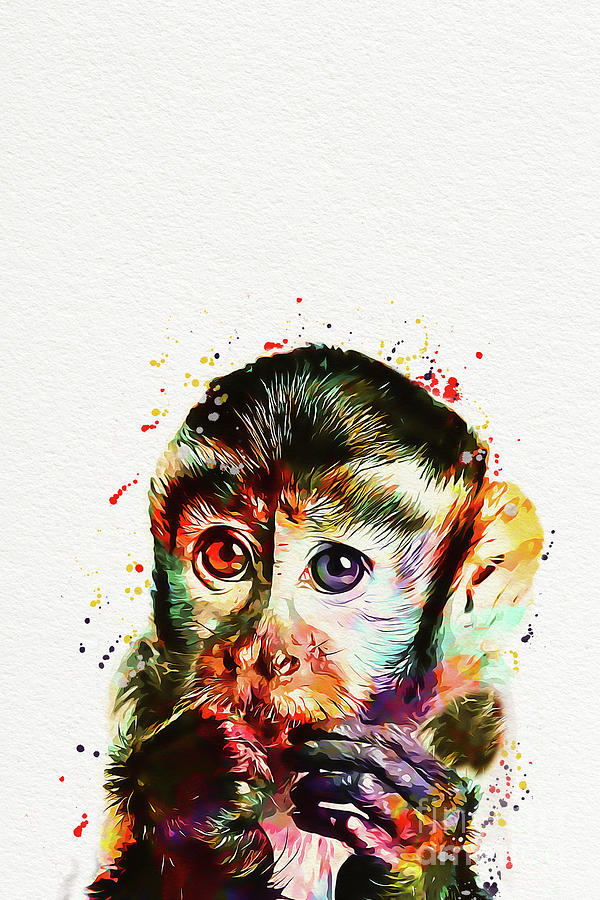 Monkey Illustration Digital Art By Nikolay Radkov