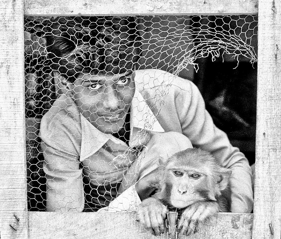 Monkey Man Photograph by Neil Pankler