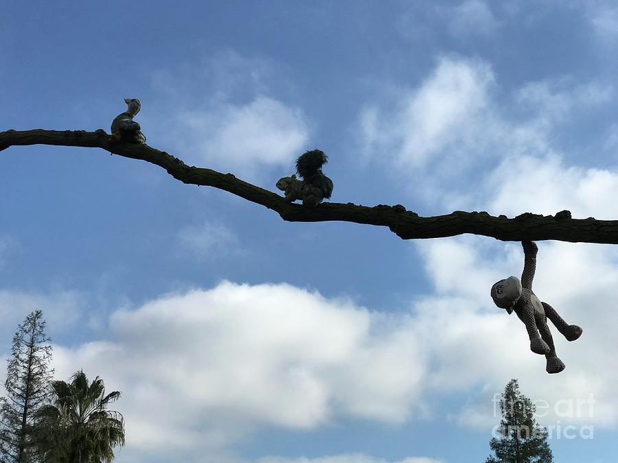 Animals on  Branch in Clouds Photograph by Suzanne Lorenz