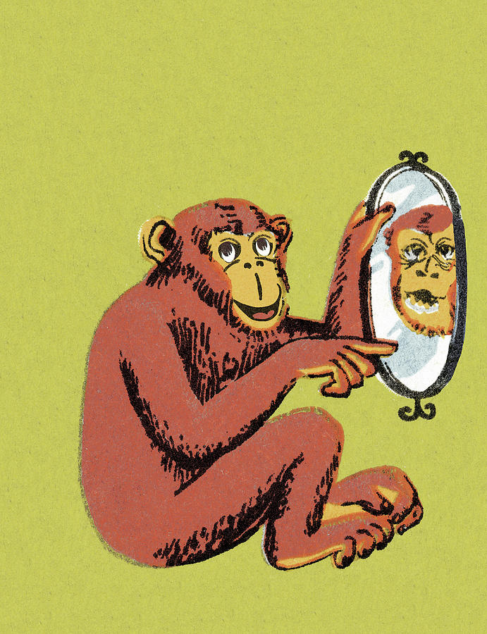Vintage Drawing - Monkey Pointing at Mirror by CSA Images