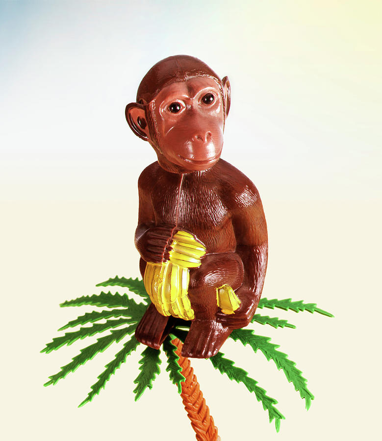 Jungle Drawing - Monkey Sitting on Palm Tree With Bananas by CSA Images