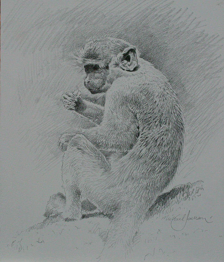 Monkey Painting - Monkey Sketch by Michael Jackson