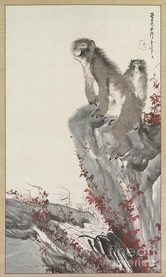 Monkeys By A Stream Drawing by Heritage Images