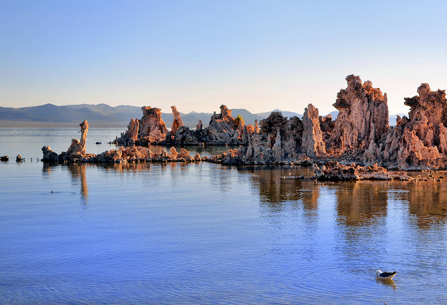 Mono Lake - Tufa Towers 019 Photograph by George Bostian - Pixels Merch