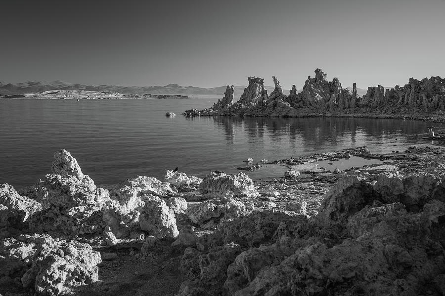 Mono Lake Photograph - Mono Mono by Wayne Stadler