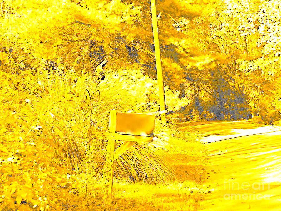 monochrome BLONDE CountyRd Mixed Media