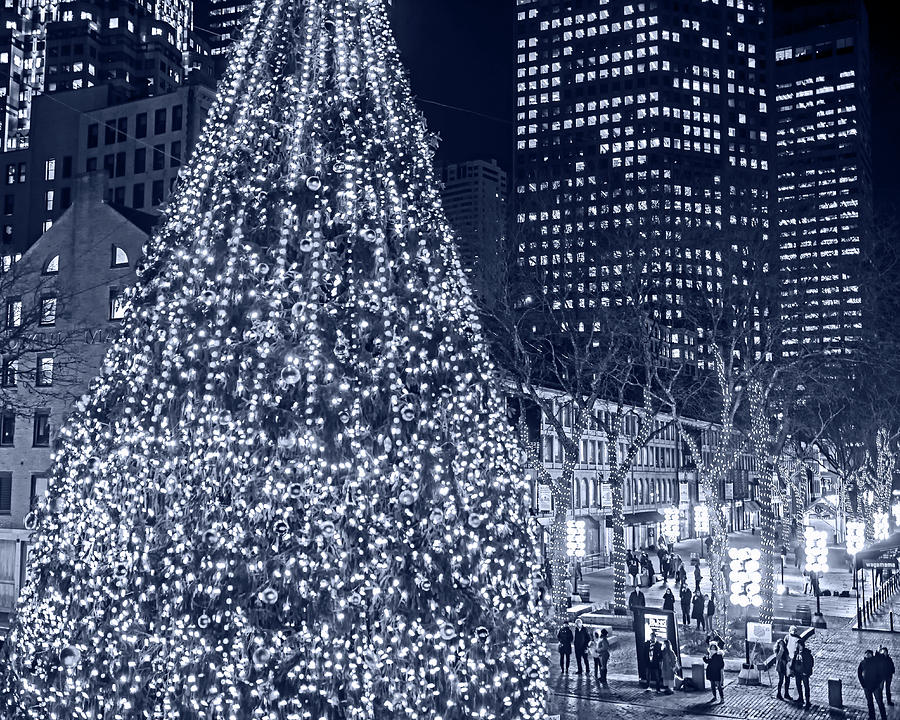 Monochrome Blue Nights Faneuil Hall Christmas Tree 2018 Boston MA Photograph by Toby McGuire