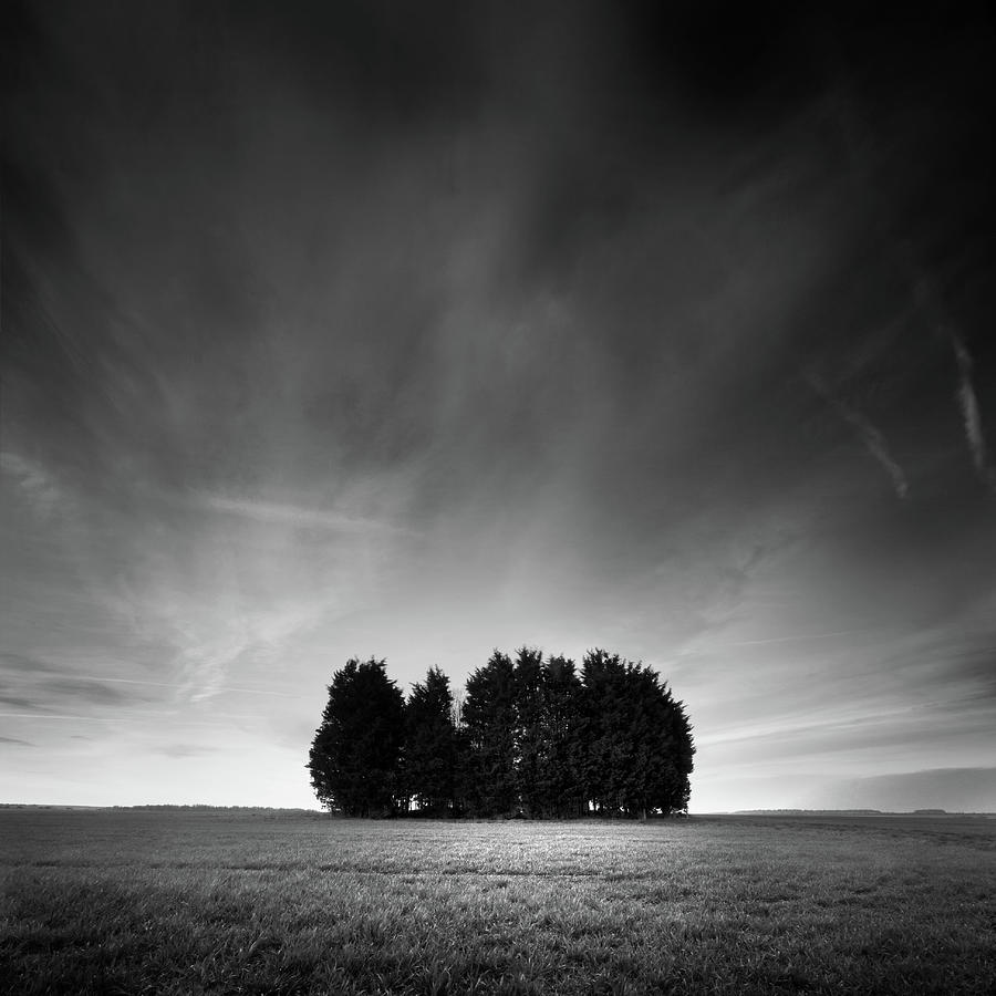 Monochrome Copse Of Trees In Arable Photograph by Richard Fraser
