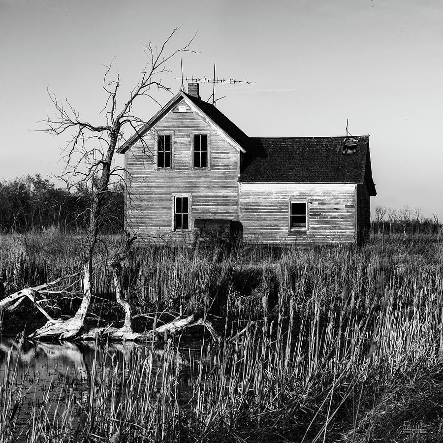Monochrome Melancholy - Abandoned Stensby Farmhouse and deadwood killed by flooding Devils Lake Photograph by Peter Herman