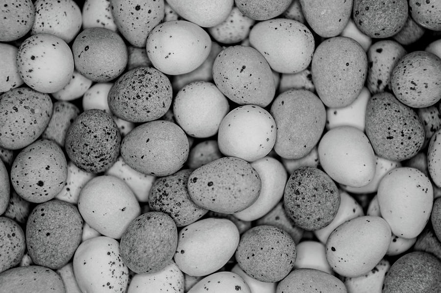 Monochrome Mini Eggs Photograph by Helen Jackson