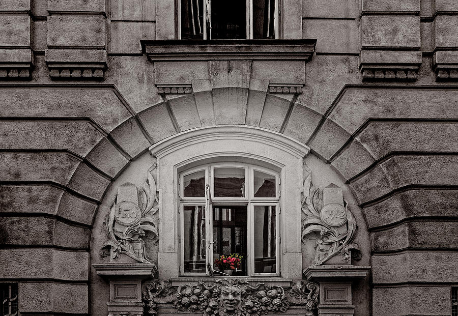 Monochrome with red flowers Photograph by Roberto Pagani