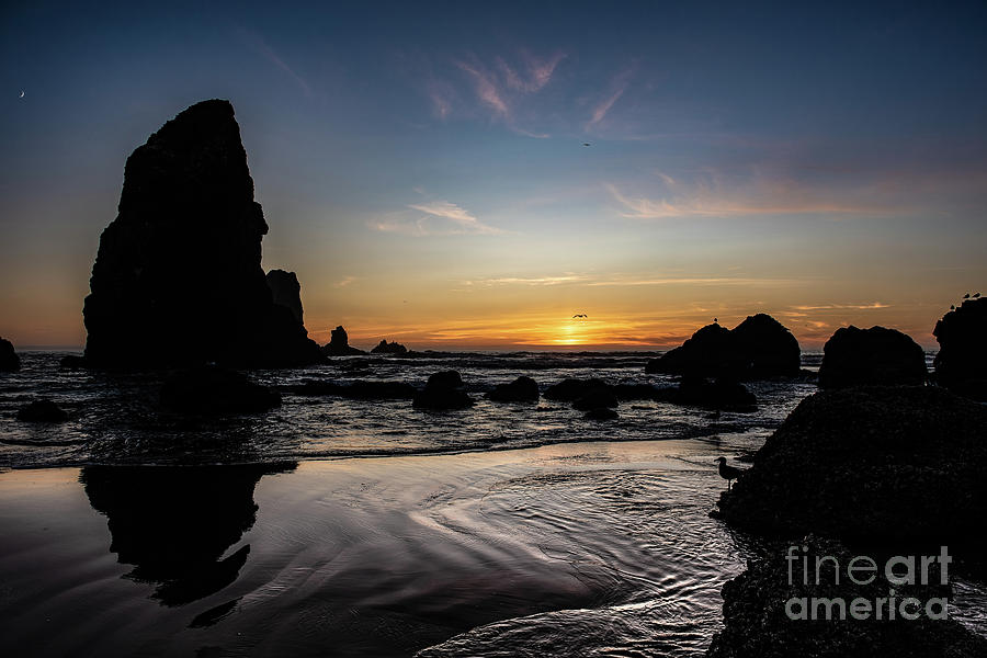 Monoliths at Sunset Oregon Coast Photograph by Jackie Follett - Pixels