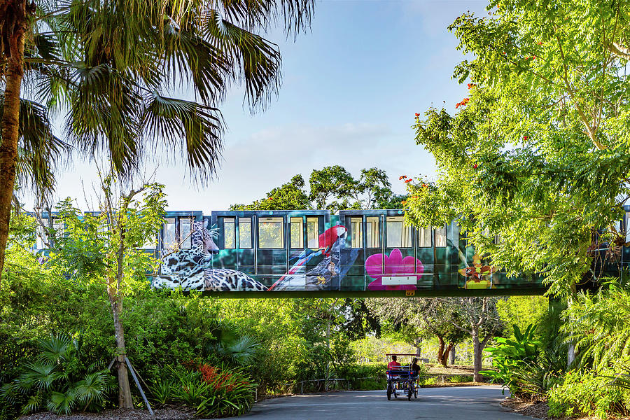 Monorail, Miami Zoo, Florida Digital Art by Lumiere