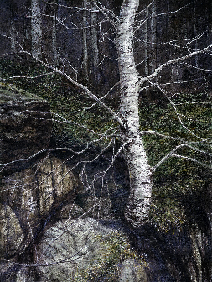 Nature Painting - Monothesium by John Morrow
