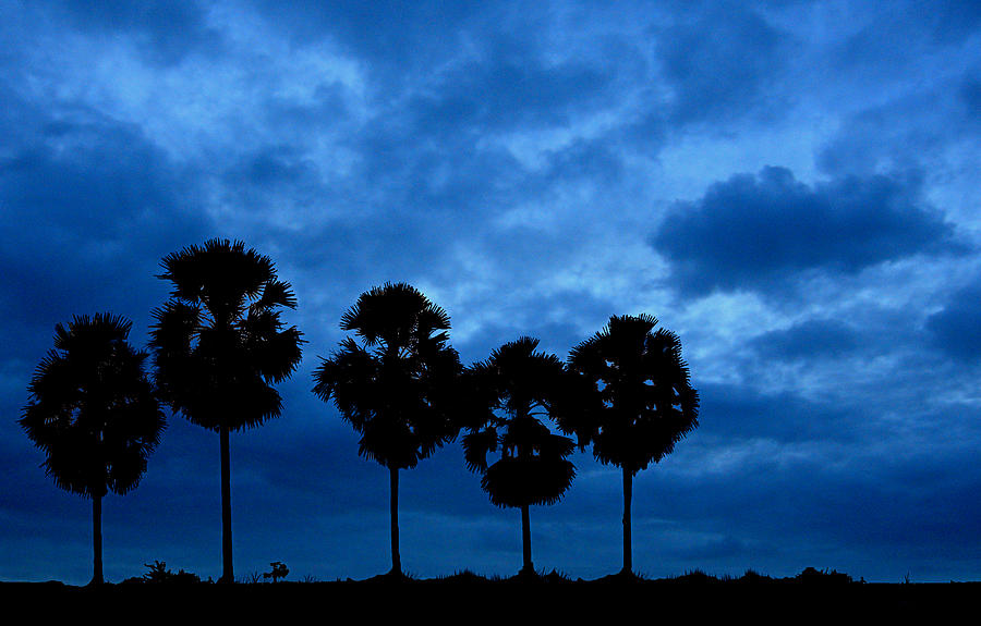 Monsoon Dawn Photograph by Photograph By Narendra N. Acharya